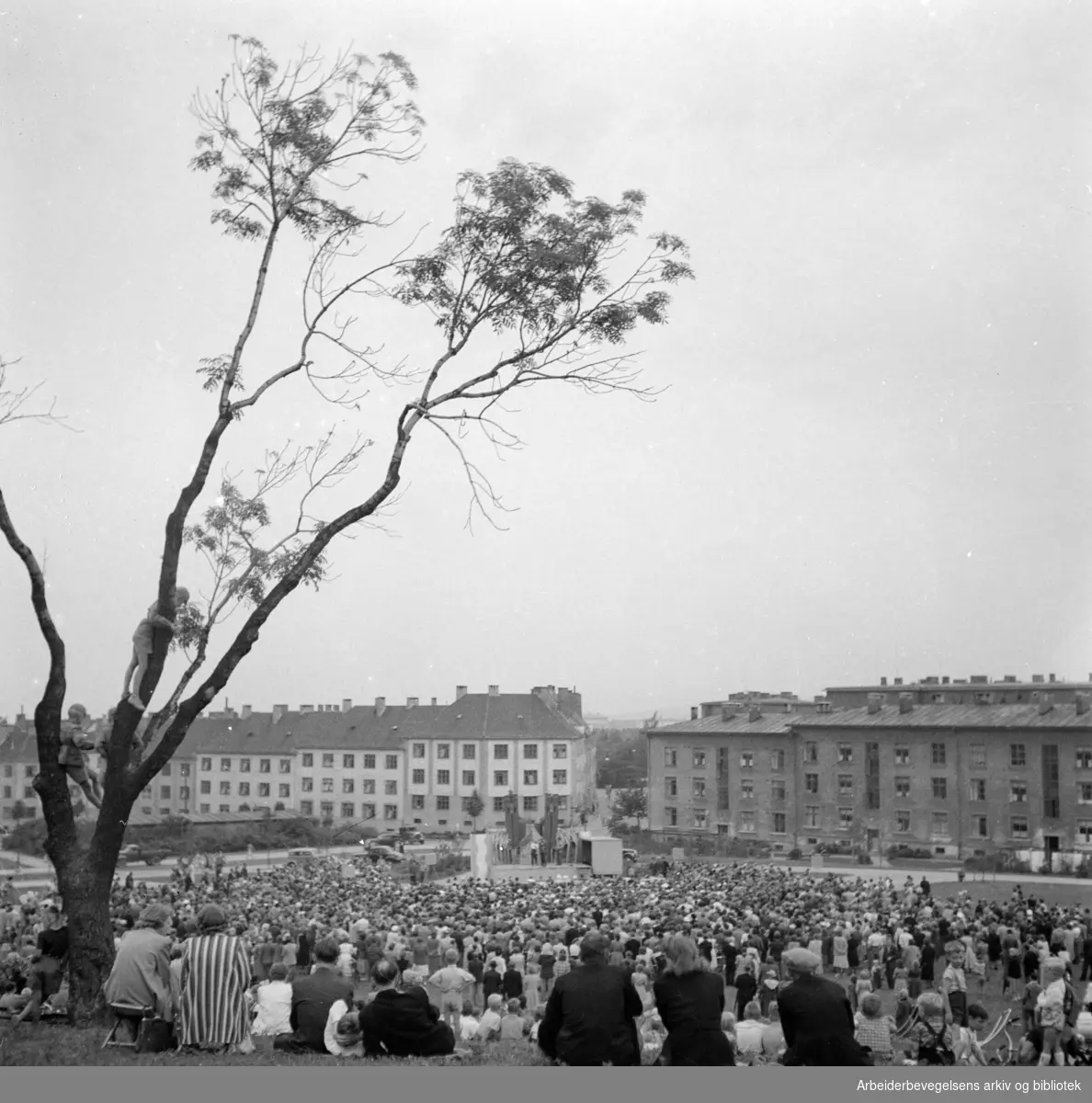 Torshovdalen park. Parkkveld. Juli 1950