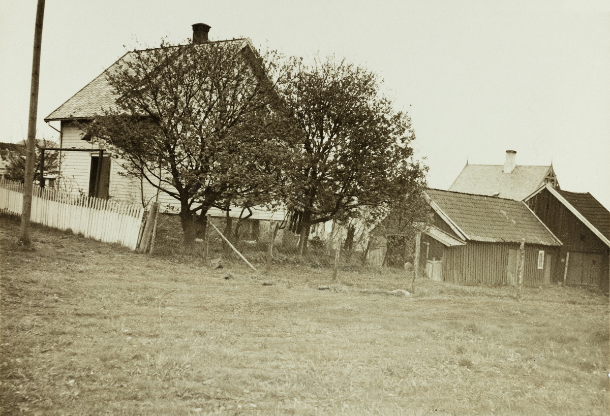 X Risøen - Stoltenberggaten sett mot ost ca.1920