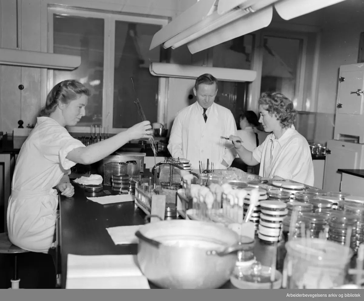 Statens Hoved laboratorium. Februar 1951