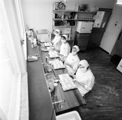 Statens Institutt for Folkehelse. Influensalaboratoriet. Feb