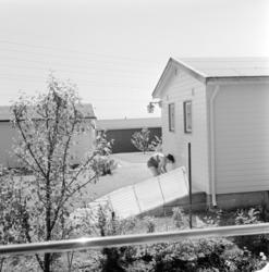 Solvang Hagekoloni. Juni 1963