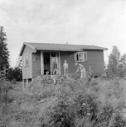 Solvang Hagekoloni. August 1957