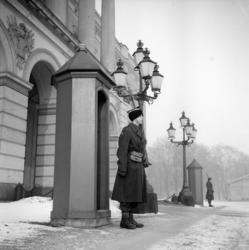 Slottet. Gardevakt i vinterkulde. Februar 1947