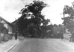Den kjente eika på Trara i Fredrikstad, 1920-30. årene. Ved 