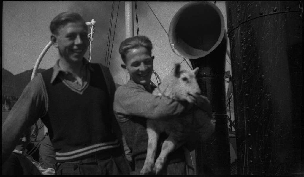 Fire unge menn holder lam og en valp på en båt lastet med sauer, syklene deres og tursekker. Det er også bilder fra Haukalivatnet. Den unge mannen til venstre på det første bildet er Arne Johannessen.