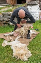 Fra "Fløttdagen" på Dølmotunet 2016, Tolga, Hedmark. Musea i