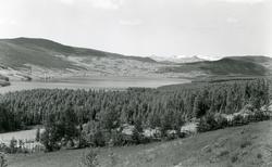 Volbu, Øystre Slidre.