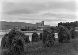 I. C. Piene & Søn i Buvika