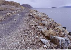 Moloen i Kongsfjord.