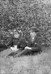 Gruppebilde. Ungt par sitter i gresset. Karen og Johan Teige