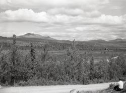 Murkhovd, Øystre Slidre.