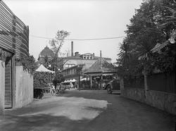 "Friluften" i Tivoli.