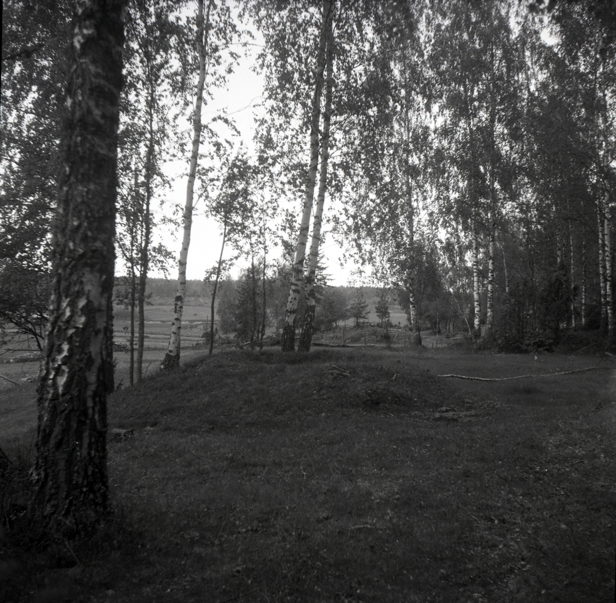 Ett gravfält i Blackstad socken.
