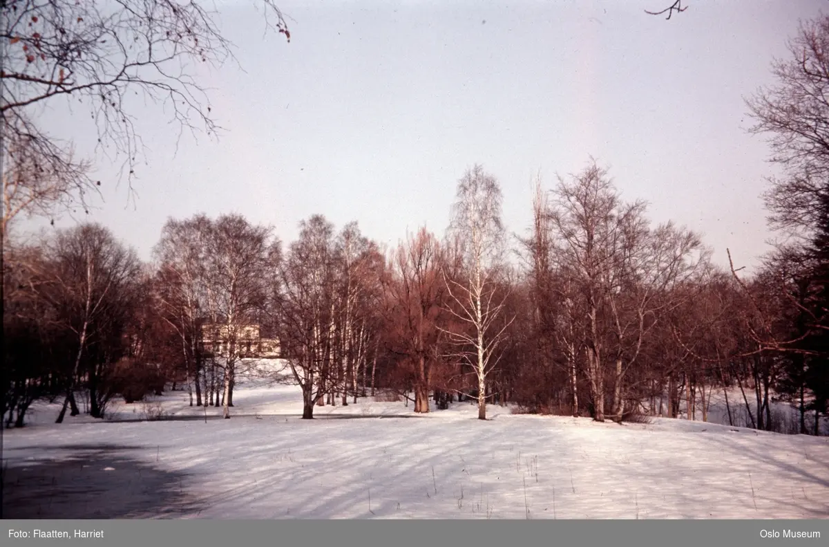 Skøyen hovedgård, park, snø