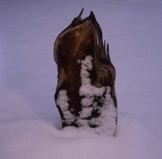 "Sagoslottsstubben" i snö, från mellan Degelmyren och Stråsjön, mars 1998.