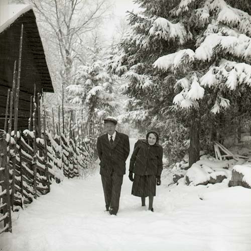Makarna Jonsson i snöyra, Hästberg 1964. De går i snön på en smal väg mellan en lada med gärdesgård och snöiga granar, fram mot fotografen.