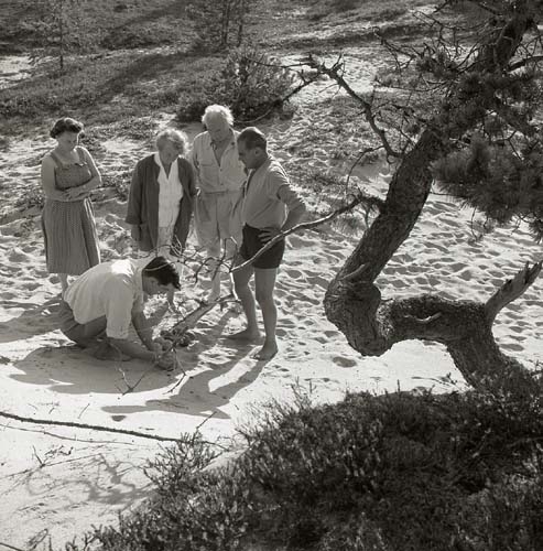 Fyra personer tittar på en nedhukad person som visar något i sanden, Köpmanholmen 1959.