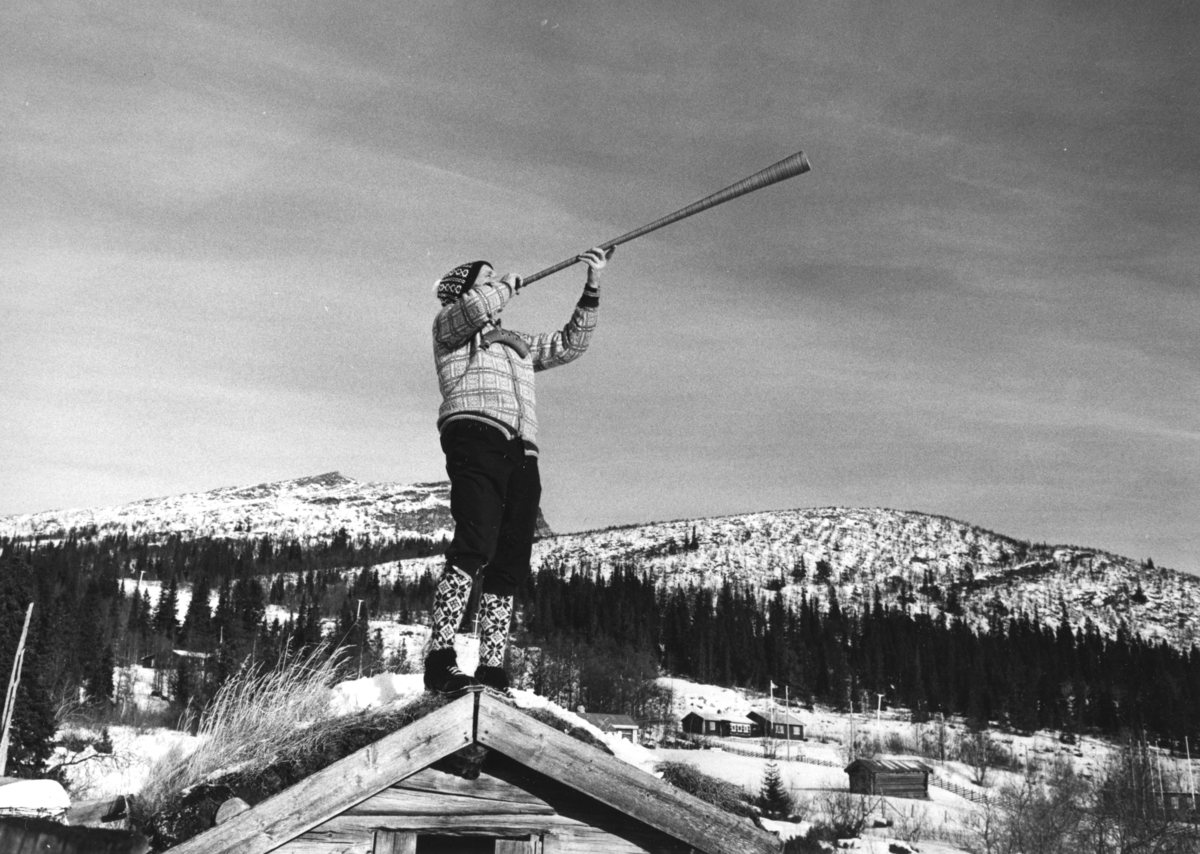 Egil Storbekken står på taket og spiller neverlur. Skjæringfjell, februar 1972