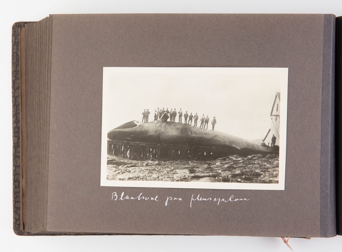 Fotoalbum med 42 fotografier fra Hvalfangsmuseet i Sandefjord.