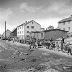 Vadsø 17 mai 1952. Folketog på vei østover i Havnegata.