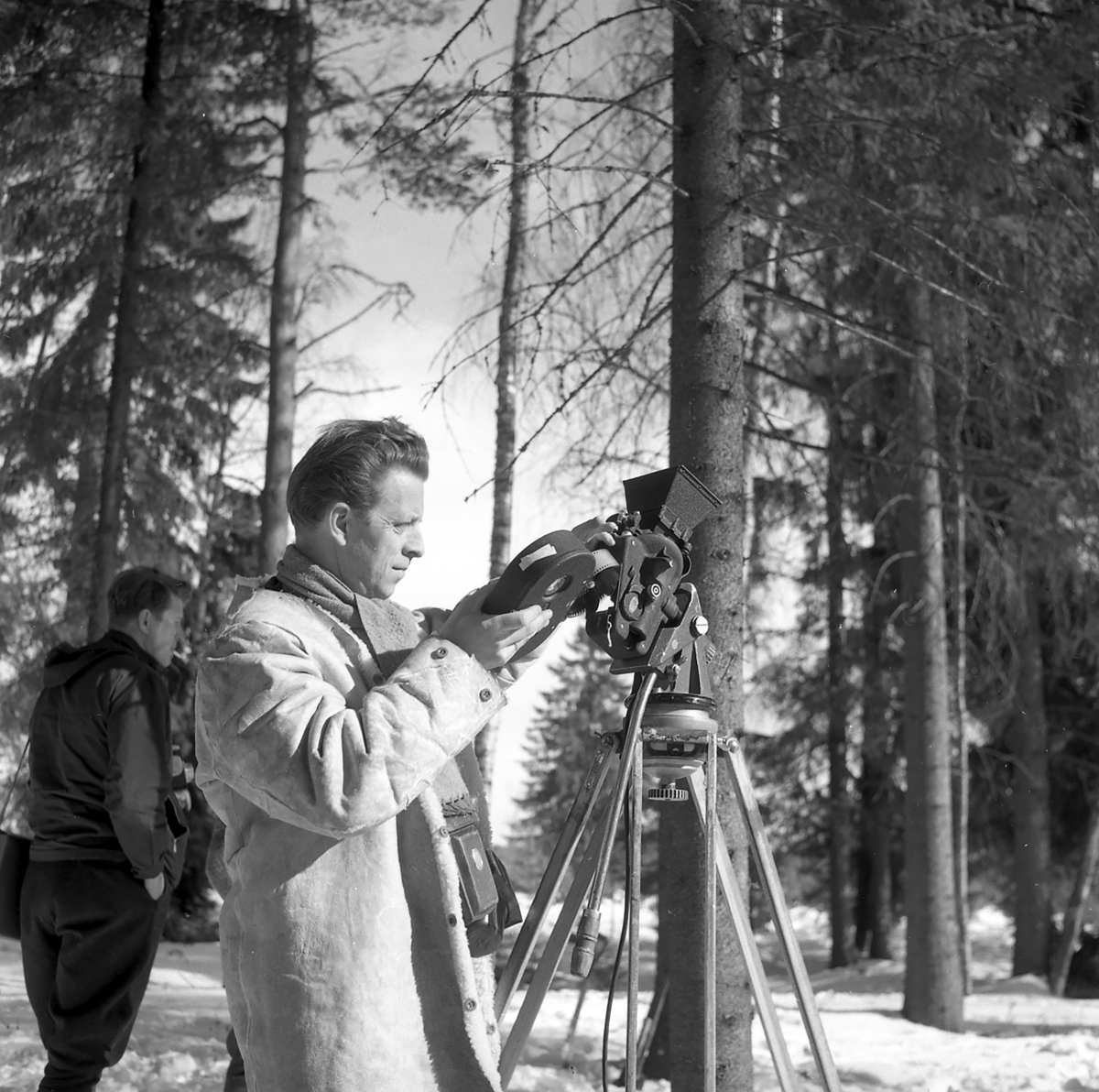 Fra filmingen av «Liv og husvær i skogen» 1962.En mann med kamera
