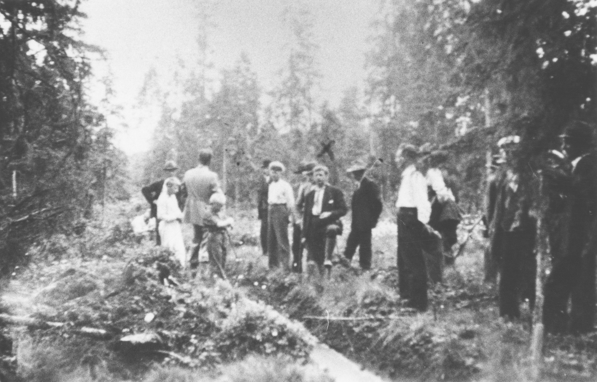 Skogsdikningsdag på Hallagården i Fryele.