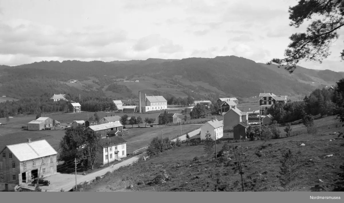 Foto fra bebyggelsen på Surnadal, med Surnadal hotell på høyre side et stykke bak. Fra Sverdrupsamlingen ved Nordmøre museums fotosamlinger.