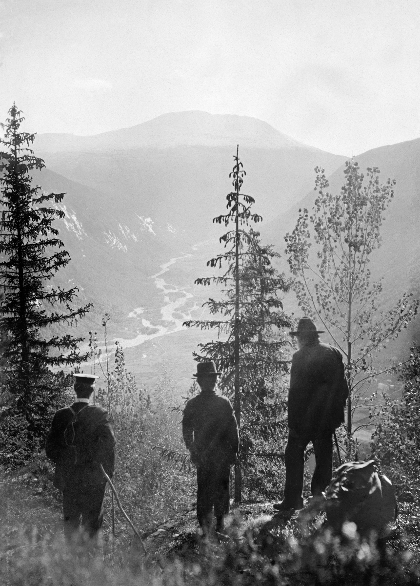 Utsikt over Vestfjorddalen i Tinn i retning Gaustatoppen.  I dalbotnen skimtes elveløp og åkerer.  I forgrunnen tre menn som ser på utsikten fra et parti med åpen gran- og bjørkeskog. Utsikt. 