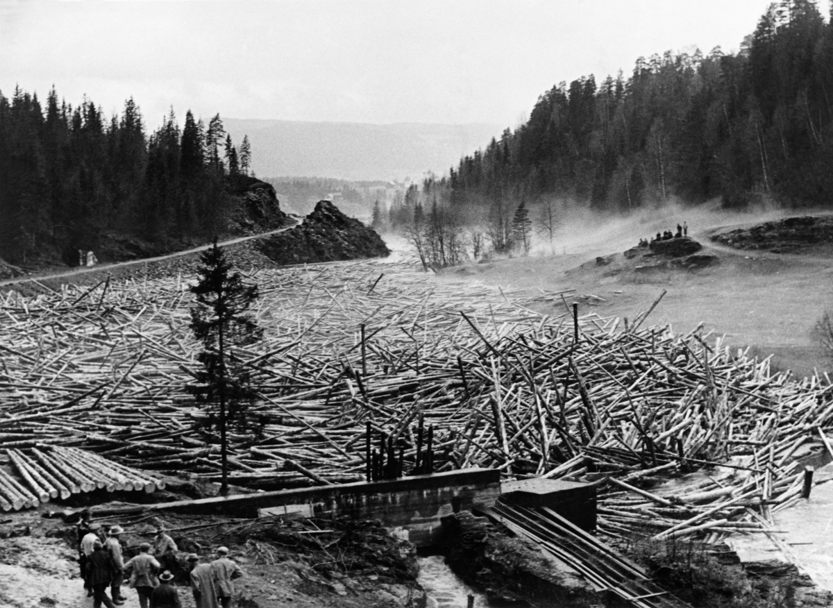 Stor tømmervase ved Wiegaardsdammen i elva Jøra eller Gausa i 1952.  Denne dammen lå i Follebu-delen av Gausdal kommune.  Situasjon på fotografiet oppsto en sesong da det var uvanlig mye tømmer i vassdraget (55 154 kubikkmeter) samtidig som en skade knyttet til utvasking i grunnen under damkonstruksjonen ble akutt forverret 30. april 1952.  Dermed ble det umulig for fløterne å få fyldt dammen og ledet tømmeret videre.  Anslagsvis 15 000 kubikkmeter virke skal ha ligget og presset mot damkonstruksjonen.  Det skal ha hopet seg opp tømmer helt opp til Bøsflaten.  Dammen fungerte ikke lenger som en vannstandshevende innretning, men snarere som et stengsel.  I fløtermiljøene var det enkelte som hadde erfaring med å sprenge tømmerhauger i vassdragene, men her måtte sjølve dammen sprenges, så her ble det påkalt ekstern sprengingsekspertise.  I boka «Skog i sol og skygge» (1978) skildrer herredsskogmester og lokalhistoriker Jarle Bye dramatikken knyttet til denne situasjonen slik:

«Militæret fra Jørstadmoen måtte til for å sprenge dammen.  Den første salven hadde liten virkning.  da la løytnant Sandin i 80 kg dynamitt.  Han var Linge-kar fra krigens dager, og vant med litt av hvert.  Den andre salven kom.  Trykket var så kraftig at glassruter sprang i sentrum i Follebu, og bøker ramlet ned fra bokhyller helt opp til Lunde.  Dammen strauk og tømmeret etter.  Gangbrua til Aulestad ble revet bort av tømmermassene som kom.  Dette var den siste store salutten i fløytinga den 5. mai 1952.»

Fotografiet skal ha vært tatt like før spreninga tok til.  Vi ser ei gruppe menn som åpenbart sto og diskuterte situasjonen like ved dammen, til venstre i forgrunnen.   Vi skimter også ei gruppe mennesker som hadde samlet seg for å overvære dramatikken fra en bergnabb på motsatt side av elva, til høyre i bildet.