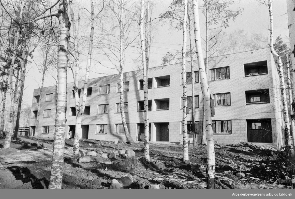 Ekeberg. Ekebergata 116. Bekkelagsboligene for eldre innviet. Februar 1973
