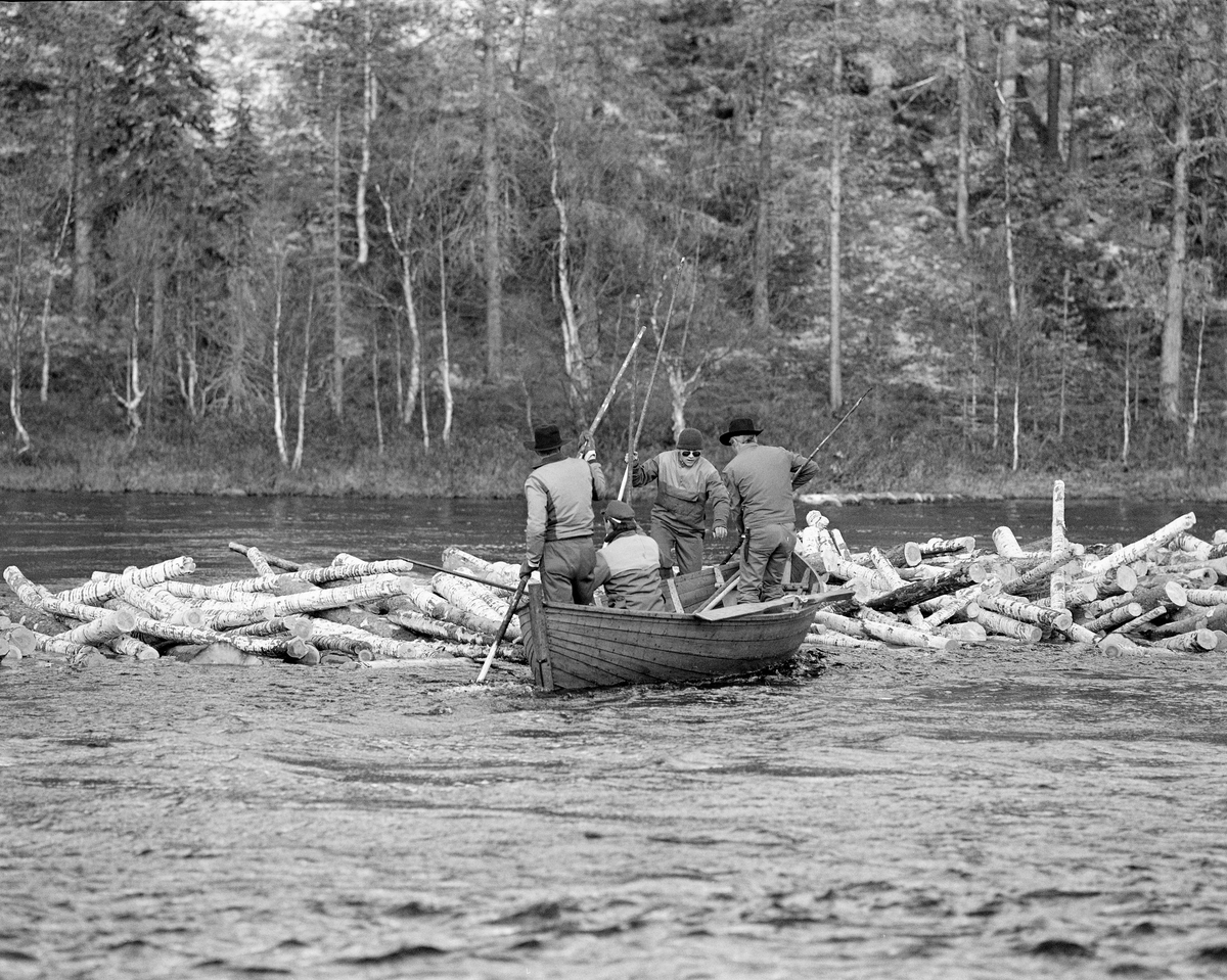 «Båtlag» i aktivitet ved tømmervase ved Myrstadvelta i Femundselva i Engerdal våren 1986.  Tømmerhaugen ser ut til å ha bygd seg opp bak et steinskjær ute i elveløpet.  Stokkene lå hulter til bulter, på rekke, ovenfor det nevnte steinskjæret.  Båtlaget besto av fire mann.  «Framstavnkaren» rodde mens «bakstavnkaren» bisto med manøvreringa i strømmen ved hjelp av ei skåtestang.  De to siste medlemmene av båtlaget var «haugkarer».  Det betydde at de gikk ut av båtene for å «rive» haugene med fløterhaker som arbeidsredskap, for deretter å redde seg opp i båtene igjen når stokkene løsnet.  Da dette bildet ble tatt var Arne Rud (med ansiktet vendt mot fotografen) i ferd med å klyve opp i båten. I 1986 ble det fløtet cirka 90 000 kubikkmeter tømmer fra Engerdal og Trysil i Norge over til Sverige og industrien i Karlstad-regionen.  23 menn deltok i dette arbeidet, noe som innebar en betydelig reduksjon etter at fløtinga i sidevassdragene var avviklet.  Tømmeret ble i stedet kjørt med lastebiler til velteplasser, som den dette fotografiet er tatt fra.  Her ble det barket på ambulerende maskiner og - når vannføringa var høvelig - utislått ved hjelp av hjullastere.

Dette fotografiet skal være tatt som ledd i en demonstrasjon for styret i Klaraälvens flottningsförening, som var på befaring langs den øvre delen av vassdraget.