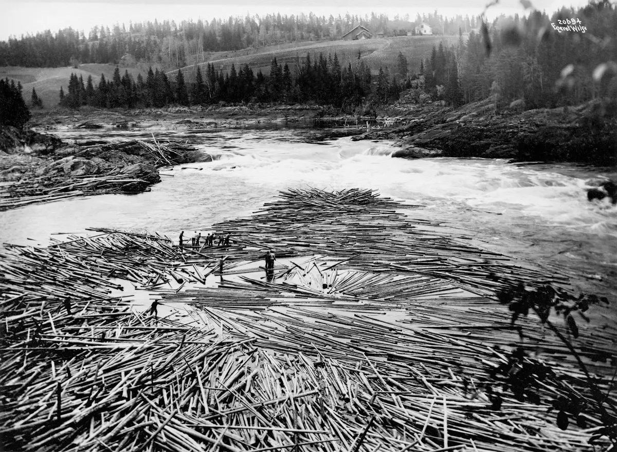 Tømmervase i Fossumbogen, ei bakevje ved Fossumfossen i nedre del av Glomma.  Fotografiet er antakelig tatt tidlig på 1900-tallet. Fotografiet later til å være tatt fra et høyt punkt, antakelig fra Fossum bru, ned mot en grusbanke sentralt i elveløpet, der forholdsvis store mengder fløtingstømmeret hadde strandet og til dels (til venstre i bildet) filtret seg sammen.  Dette skjedde ofte på dette stedet i den fasen da flommen var på retur.  På det meste kunne det ligge 1 000 tylfter (12 000 stokker) i Fossumbogen.  Da dette fotografiet ble tatt var ei gruppe fløtere i ferd med å løsne stokkene med fløterhaker og arbeide dem ut i strømmende vann ved siden av tømmervasen.  Ovenfor var det et lite fossefall på et sted der elva passerte en bergrygg.  På venstre side lå det en del tømmer på berget (Dalsskjærene), antakelig stokker som hadde blitt liggende etter at vannstanden i elva hadde sunket etter flom.  På høyre side av elva, ovenfor fossen, kan det se ut til å ha vært et slags stengsel, som antakelig skulle forhindre at fløtingsvirket drev inn i ei vik der.  Dette stengselet er ikke formet som noen vanlig lense.  I bakgrunnen ser vi ei li med et gardstun og nedenforliggende engarealer.  Dette er sansynligvis eiendommen Kjellås i Askim kommune.  I randsonen mot elva og på bakkekammen mot horisonten vokste det skog.