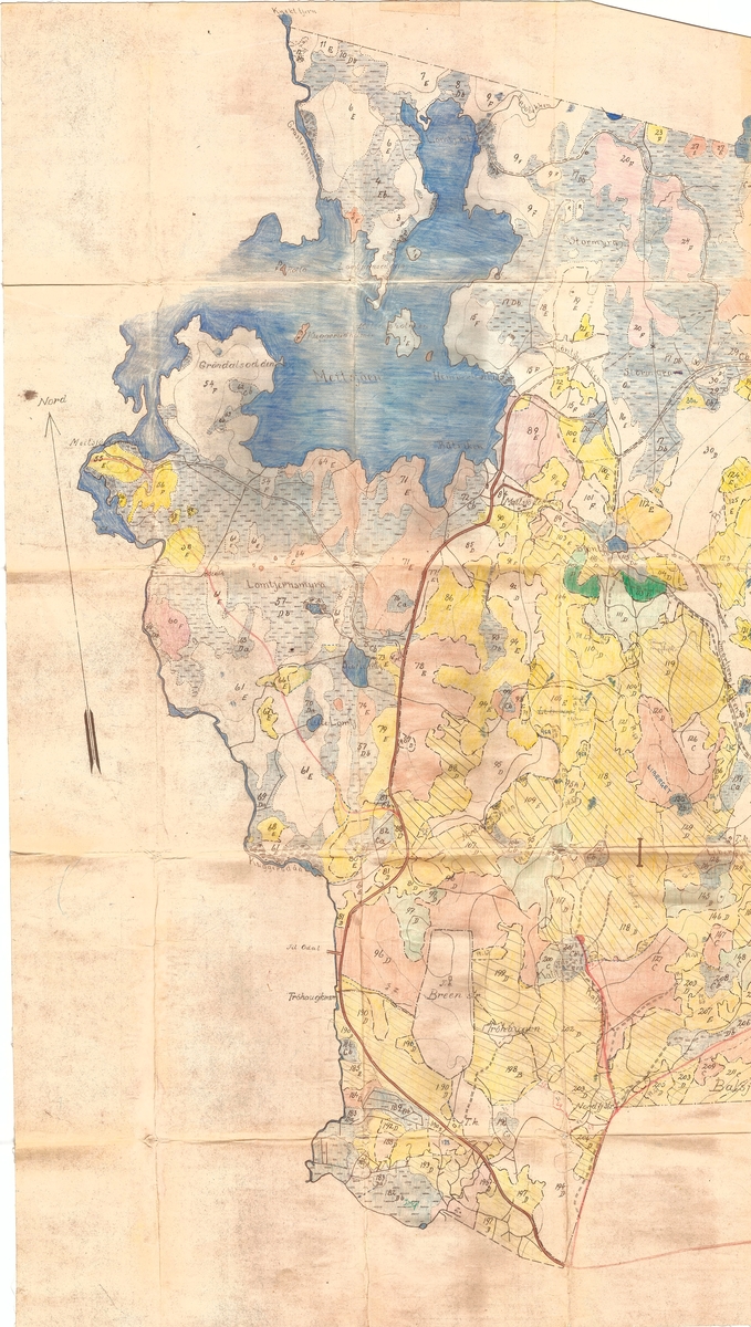 Kart , bestandskart, driftsplankart, over Nes (Næs) Sæterskog, skifte 1 i Grue kommune (Hedmark fylke). 

Kartet har målestokk 1:5000