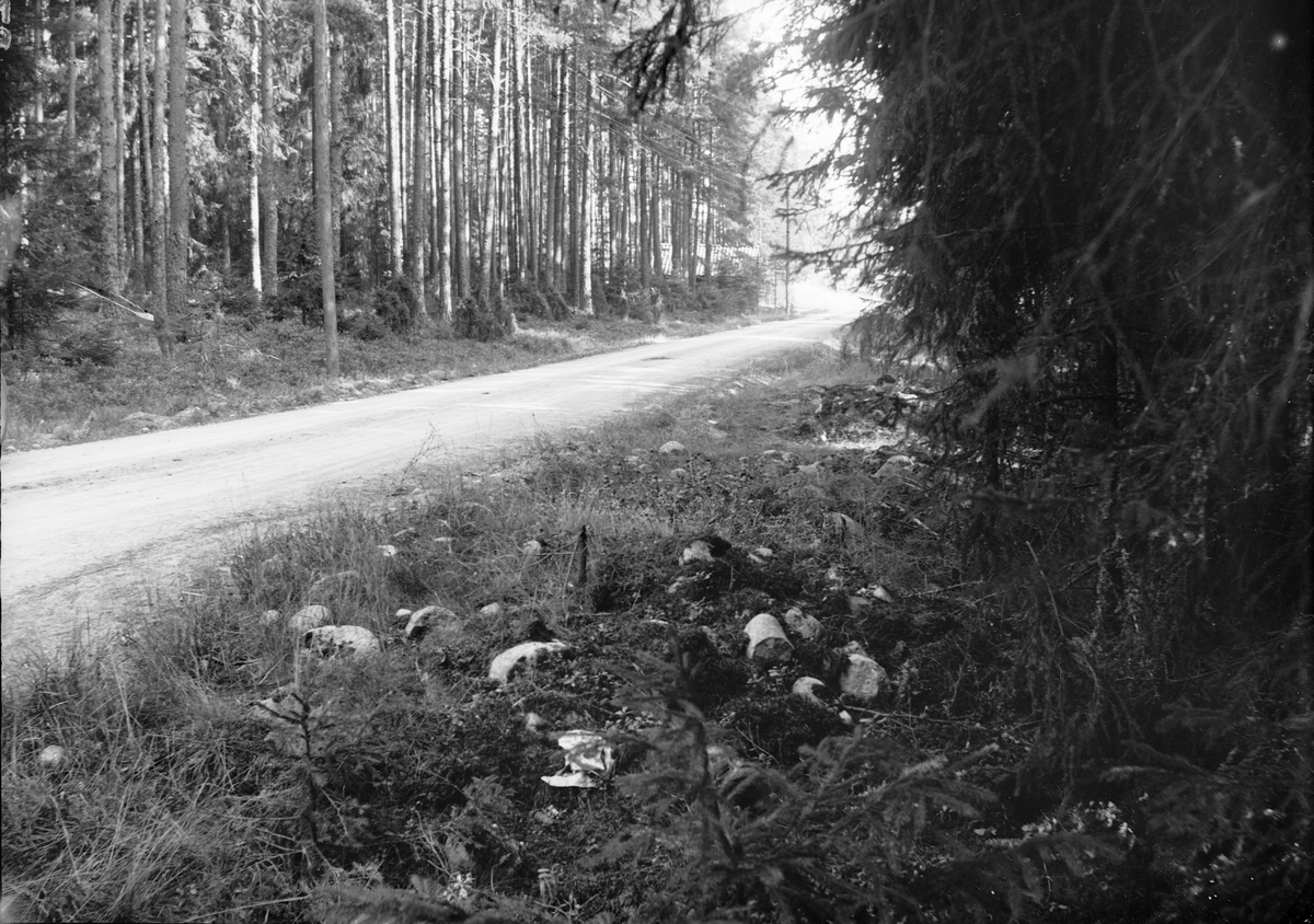 Skogsväg, Uppland