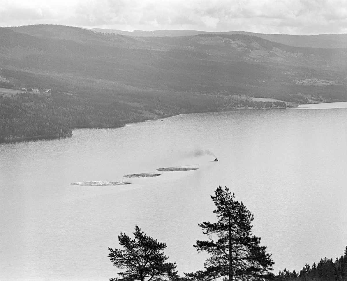 Utsikt over Storsjøen i Rendalen våren 1981.  Fotografiet er tatt fra et utsiktspunkt i ei bratt li på Vestkjølen.  På vannspeilet, over et par furukroner i forgrunnen, ser vi slepebåten «M/S Storsjø» på veg sørover med tre ringbommer på slep.  I lia på østsida av sjøen ser vi et skogslandskap med garden Øvre Sjøli til venstre og med Botillen og Sjølisand til høyre. Et tømmerslep over de 35-36 kilometerne fra Åsheim i nordenden til Løsset i sørenden av Storsjøen tok vanligvis drøyt 30 timer, men returen gikk naturligvis langt raskere.  Mens det var store mengder fløtingsvirke, gikk det over 30 slike slep sørover Storsjøen hver sesong, og slepinga varte cirka to måneder.  Da dette fotografiet ble tatt, var ikke tømmermengden større enn at stokkene kunne samles i 10-12 bommer (cirka 17 000 kubikkmeter slipvirke).