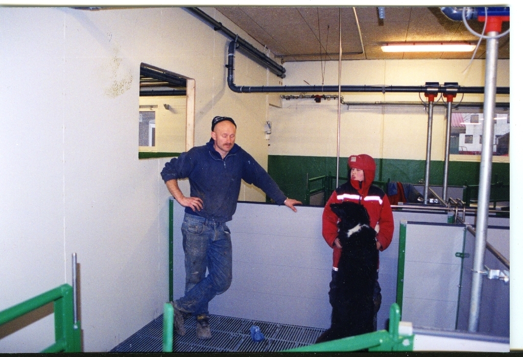 Innredninga i det nye grishuset er ferdig. F.v. Halvar Garpestad (14.9.1959 - ) og Håvar Garpestad (12.2.1994 - ). Hunden heiter Prins.