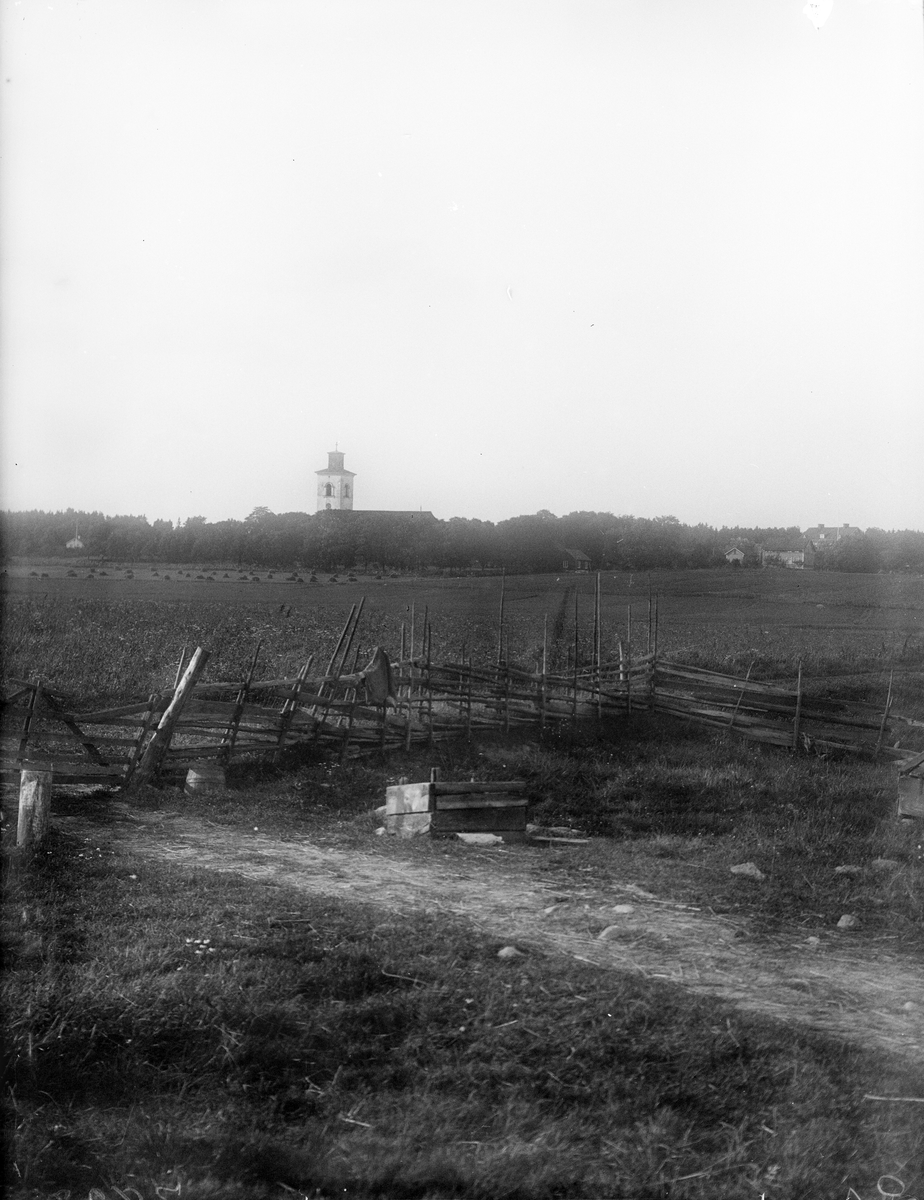 Vy från bondgård mot Altuna kyrka, Altuna socken, Uppland 1925