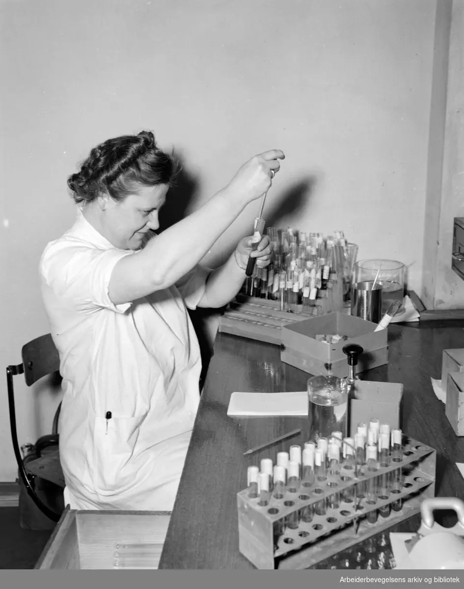 Bakteriologisk Institutt. Juni 1951