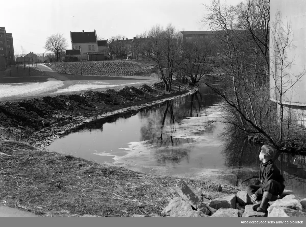 Akerselva ved Treschows bru. Mars 1955