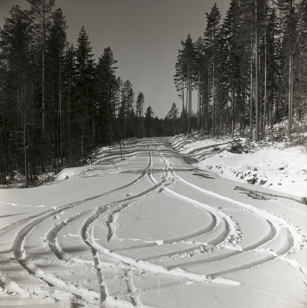 Skogsväg med vändspår i snön i en tallskog, mars 1961.