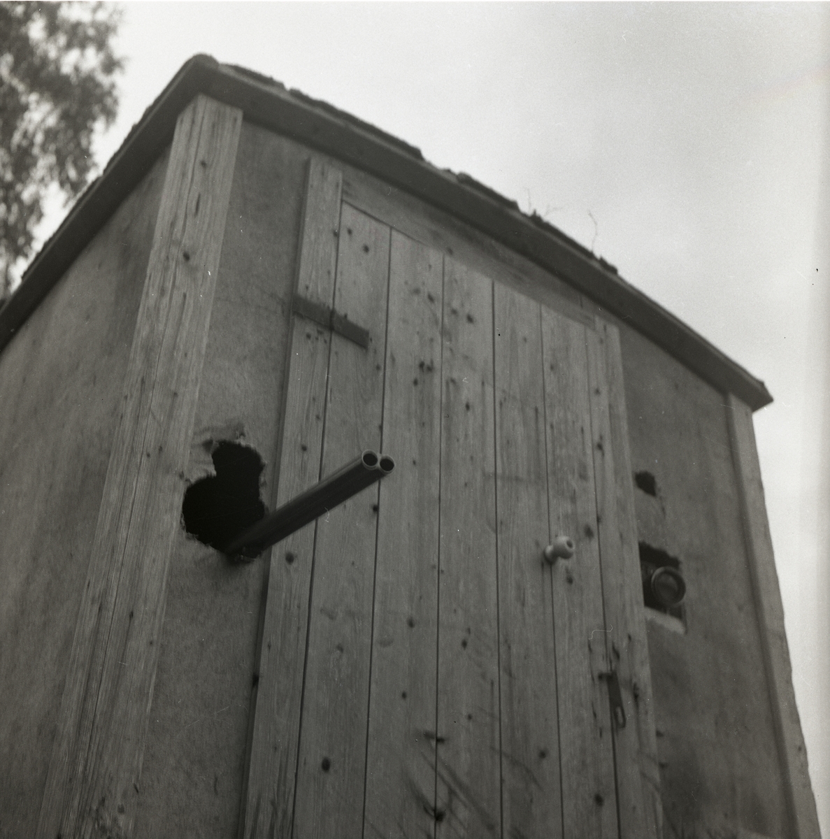 En gevärspipa sticker ut genom ett hål i en koja, 25 augusti 1956.