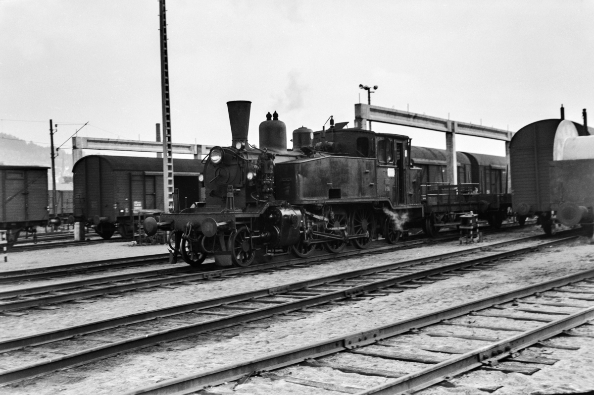 Damplokomotiv type 20b nr. 250 i skiftetjeneste på Sundland ved Drammen.