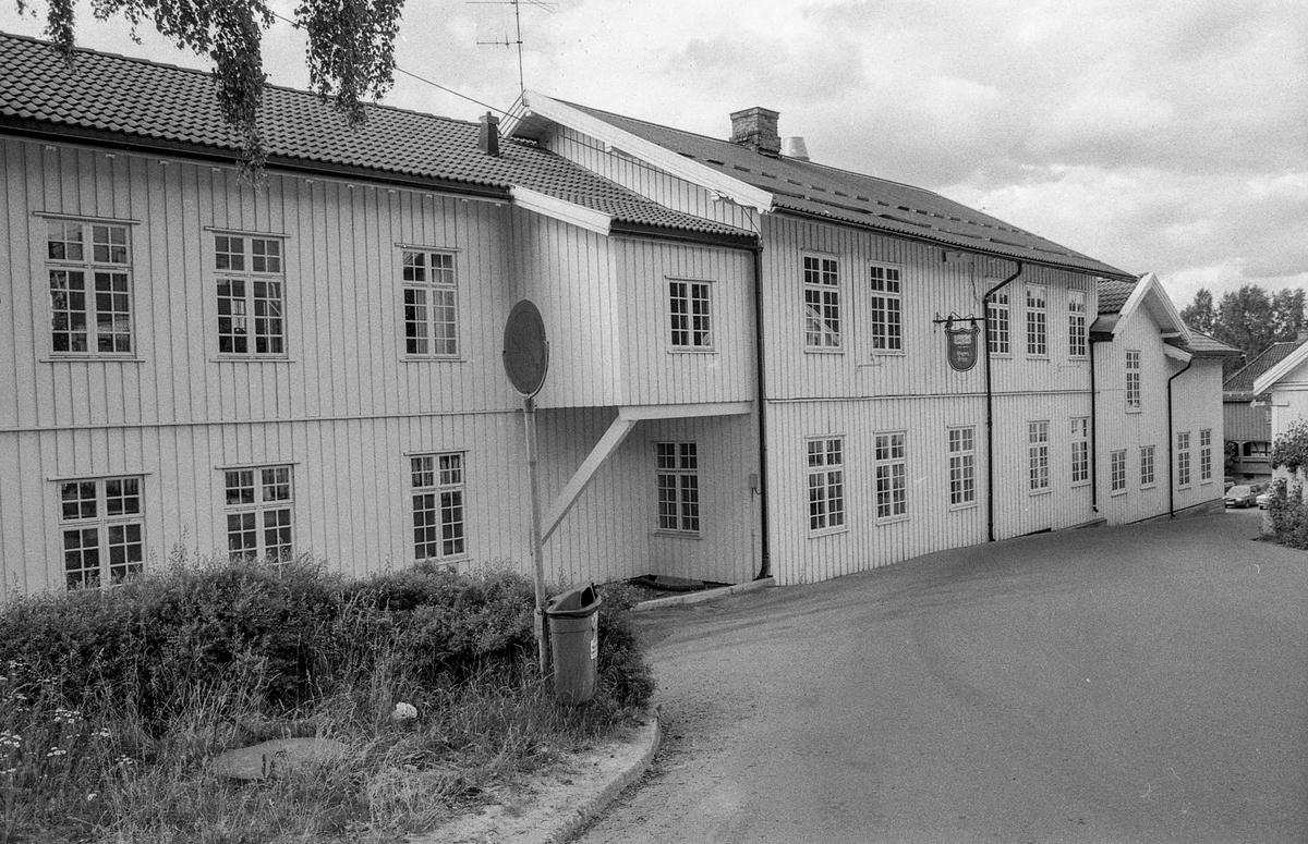 Kunstnerhjemmene i Son. 
Thornegården fra 1629, her holdt maleren Oluf Wold-Torne til (1867-1919). 
I Villa Holland ved Kugrava holdt Søren Onsager til (1878-1946).
I huset Pjåken holdt dramatikeren Nils Kjær til (1870-1924).
Brødrene Bjarne (1882-1970) og Sigurd Eriksen (1884-1976) og Alf Løvberg (1899-1986) holdt også til i Son.