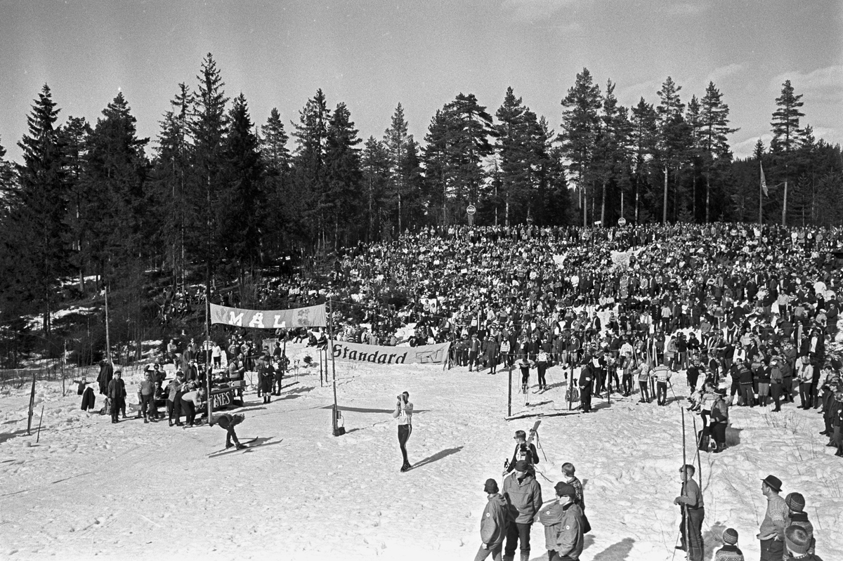 En skiløper på inn mot mål, mange tilskuere står rundt, Blåveisrennet 1965. Fotografert april 1965.