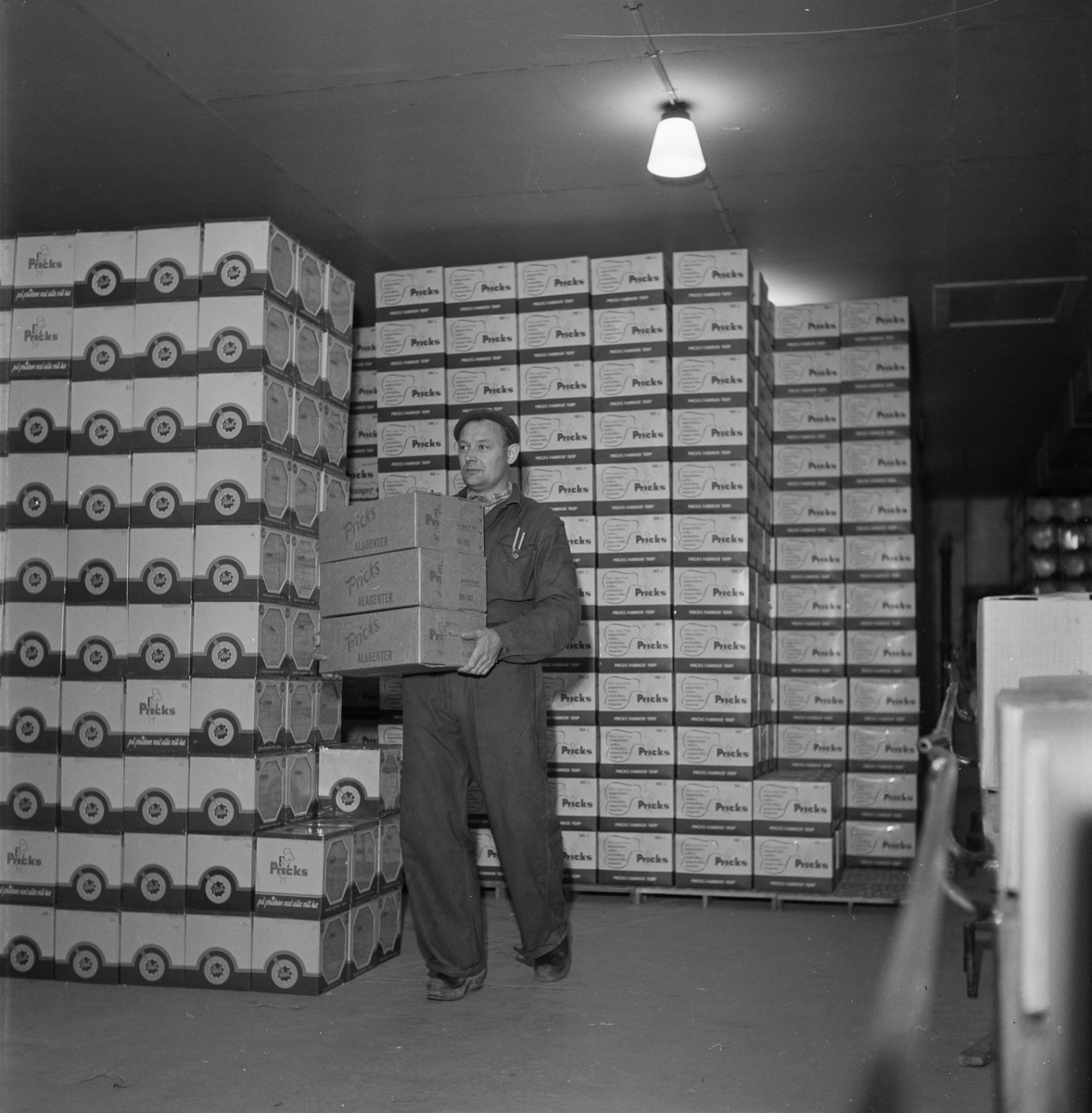 En man håller i kartonger med kakor på lagret. Pricks, fabriken, Tierp, Tolfta socken, Uppland 1953