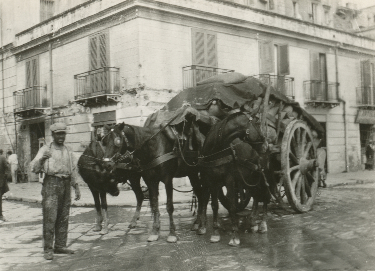 Motiv av en mann og hester som transporterer et stort lass på vogna i Napoli, Italia.