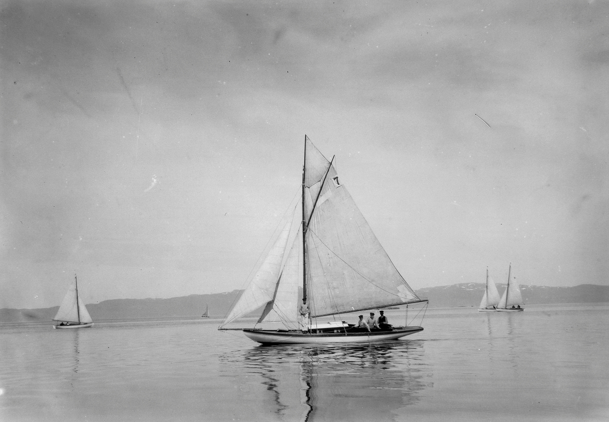 Trondhjems Seilforening - regatta