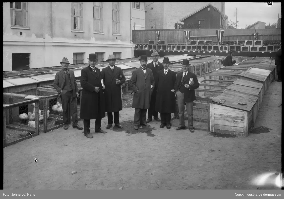 Fylkesutstillingen 1922. Gruppe menn bedømmer fjærkre og kaniner i bur.
