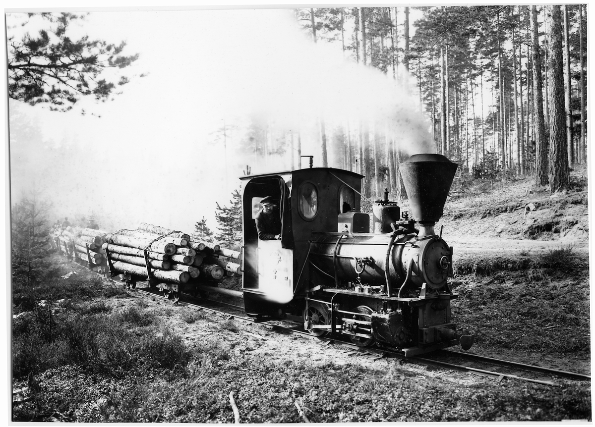 Ålhults sågverks lok "Sotsara" med timmervagnar.