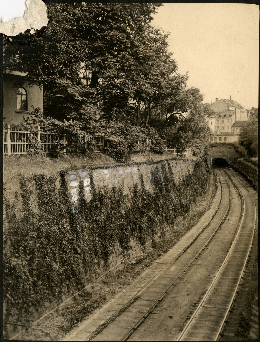 Järnvägsplantering vid Södra Tunnelmynningen.